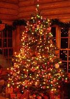 С Новым годом и Рождеством Христовым!